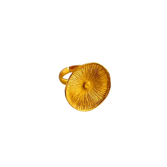 Anillo Plato Hongo